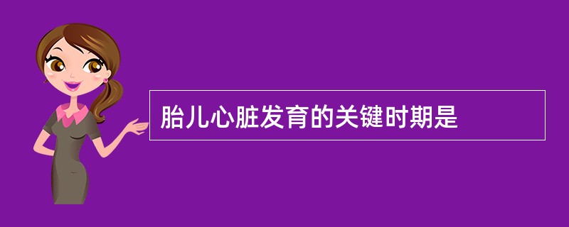 胎儿心脏发育的关键时期是