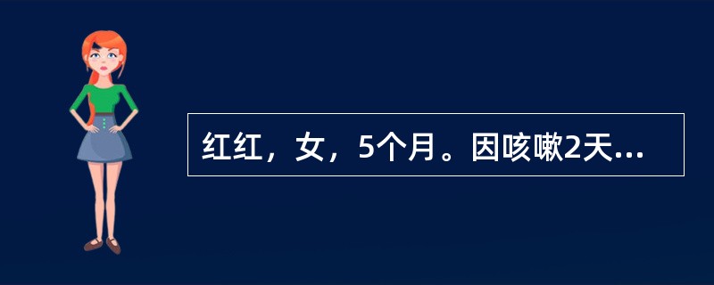 红红，女，5个月。因咳嗽2天，加重1天入院。患儿咳嗽初为干咳，以后有痰，并出现呼吸困难。体格检查：体温39℃，心率152次，呼吸52次/分，体重6kg，面色灰白，精神萎靡，两肺有细湿啰音，诊断为“支气