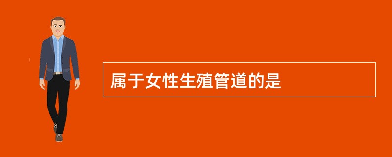 属于女性生殖管道的是