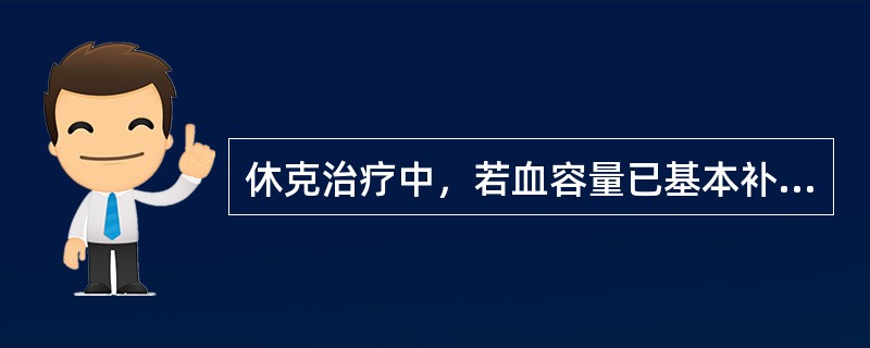 休克治疗中，若血容量已基本补足，但循环状况仍未好转，应选用(　　)。