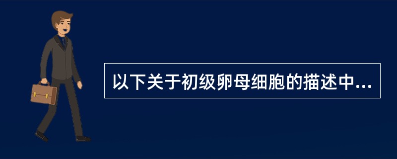 以下关于初级卵母细胞的描述中，哪一项是错误的