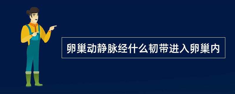 卵巢动静脉经什么韧带进入卵巢内