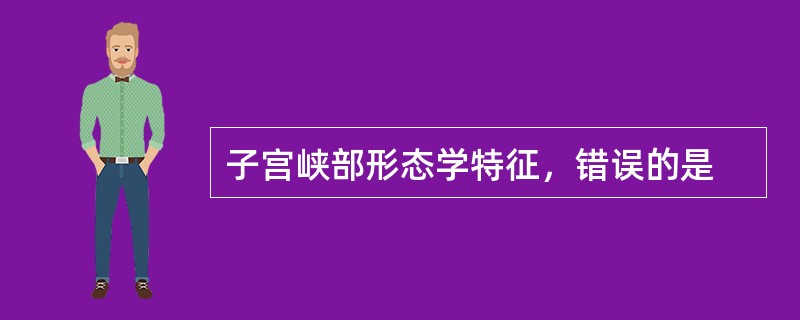 子宫峡部形态学特征，错误的是