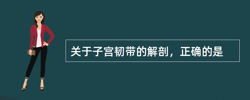 关于子宫韧带的解剖，正确的是