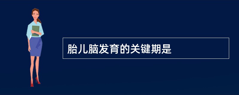 胎儿脑发育的关键期是