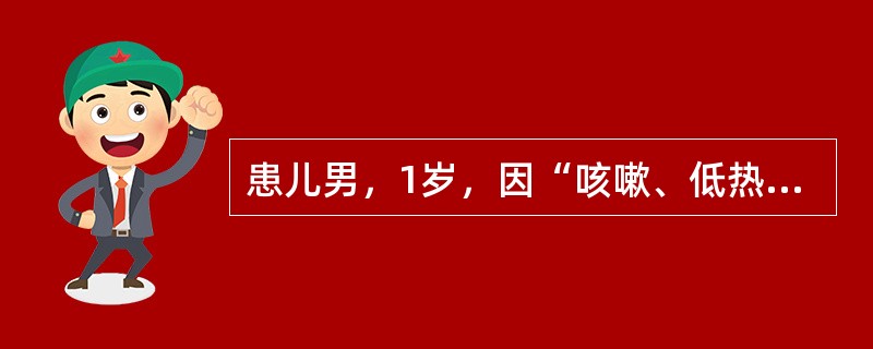 患儿男，1岁，因“咳嗽、低热2d”来诊。查体：T37.5℃，R35次/min；双肺呼吸音粗，可闻干性啰音及中水泡音。诊断应首先考虑