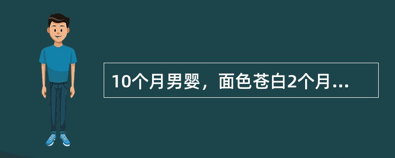 10个月男婴，面色苍白2个月，母乳喂养，未断奶，间加辅食，平时易感冒，浅表淋巴结不大，心尖收缩期Ⅱ级杂音，肺（-），肝、脾肋下未及。为了诊断，应首选检查是