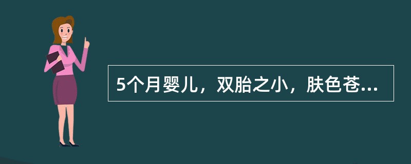 5个月婴儿，双胎之小，肤色苍白3个月，呈加重趋势，食欲减退，平时易感冒，生后人工喂养，未加辅食。查体：发育营养差，皮肤黏膜苍白，心前区有Ⅰ级收缩期杂音，肝肋下3cm，脾肋下1cm。血常规：Hb55g／