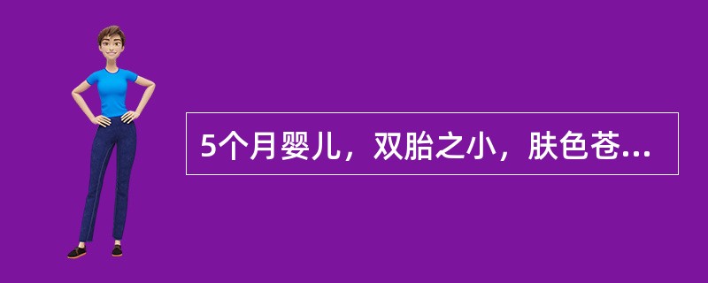 5个月婴儿，双胎之小，肤色苍白3个月，呈加重趋势，食欲减退，平时易感冒，生后人工喂养，未加辅食。查体：发育营养差，皮肤黏膜苍白，心前区有Ⅰ级收缩期杂音，肝肋下3cm，脾肋下1cm。血常规：Hb55g／