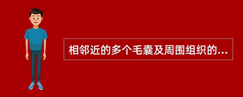 相邻近的多个毛囊及周围组织的急性化脓性感染是