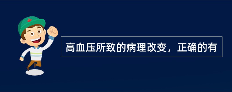 高血压所致的病理改变，正确的有