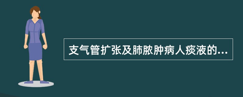 支气管扩张及肺脓肿病人痰液的典型表现是