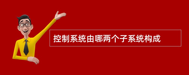 控制系统由哪两个子系统构成