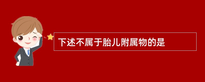 下述不属于胎儿附属物的是