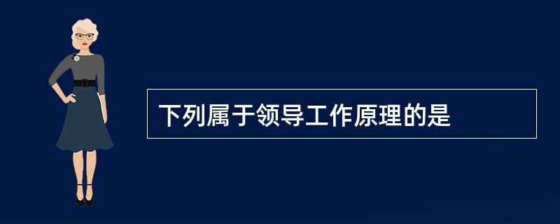 下列属于领导工作原理的是