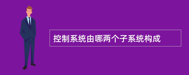 控制系统由哪两个子系统构成