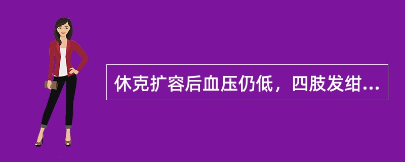 休克扩容后血压仍低，四肢发绀、厥冷，治疗时宜用()