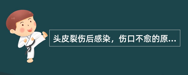 头皮裂伤后感染，伤口不愈的原因是()