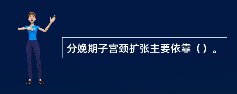 分娩期子宫颈扩张主要依靠（）。