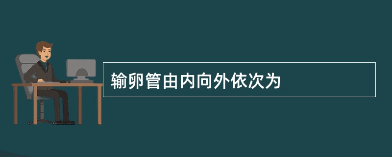 输卵管由内向外依次为