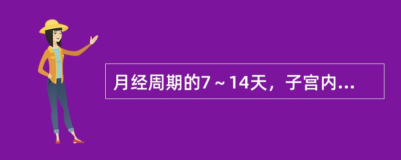 月经周期的7～14天，子宫内膜发生