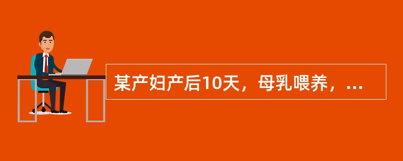 某产妇产后10天，母乳喂养，诉乳头疼痛，哺乳时加重针对乳房的护理错误的是