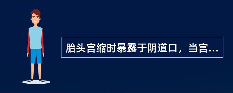 胎头宫缩时暴露于阴道口，当宫缩间歇时又缩回阴道内，称为