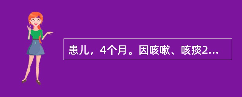 患儿，4个月。因咳嗽、咳痰2天，气急伴发绀2小时入院。体检：体温38.7℃、呼吸80次/分，心率180次/分，心音低钝，肝肋下4cm。给予患儿下列何种体位