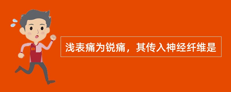 浅表痛为锐痛，其传入神经纤维是