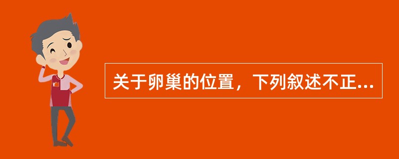 关于卵巢的位置，下列叙述不正确的是(　　)。