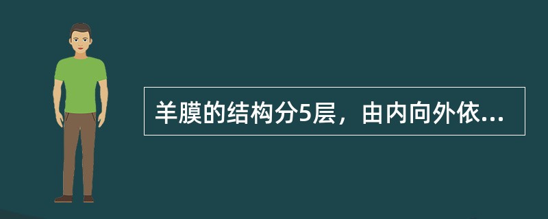 羊膜的结构分5层，由内向外依次为(　　)。