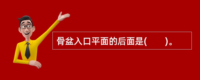 骨盆入口平面的后面是(　　)。