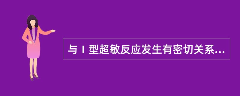 与Ⅰ型超敏反应发生有密切关系的Ig是