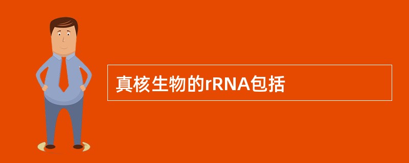 真核生物的rRNA包括