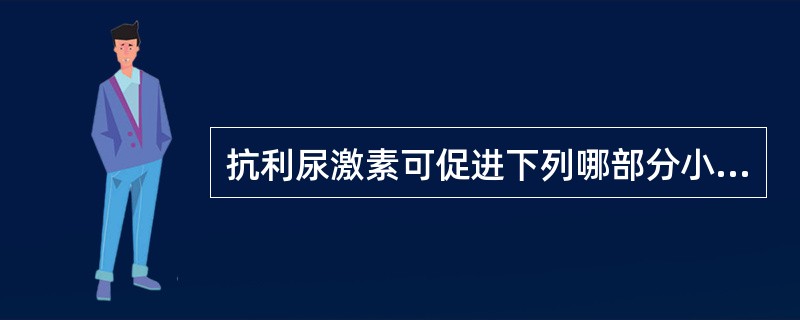 抗利尿激素可促进下列哪部分小管重吸收水