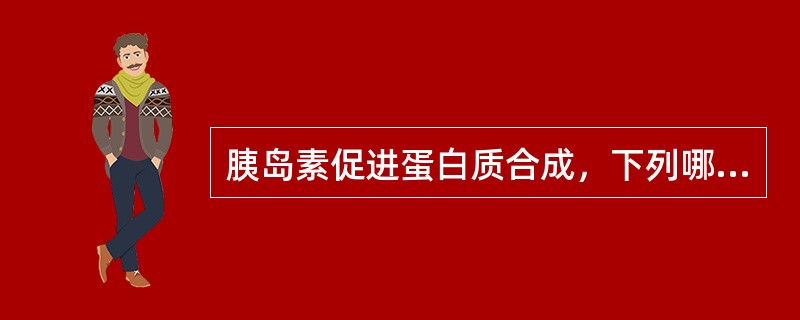 胰岛素促进蛋白质合成，下列哪一项不正确