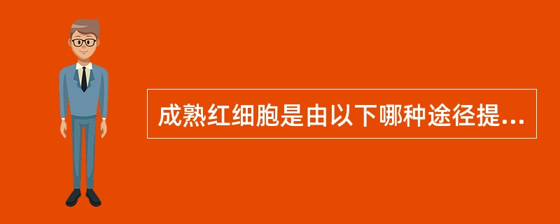 成熟红细胞是由以下哪种途径提供能量