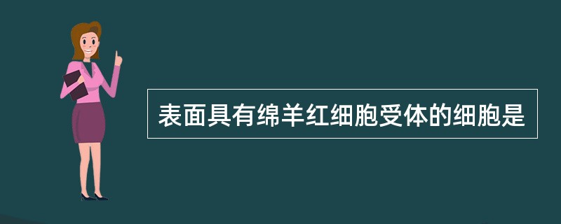 表面具有绵羊红细胞受体的细胞是