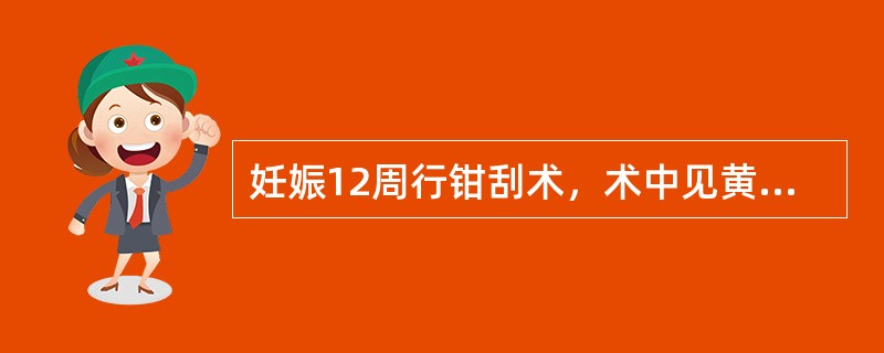 妊娠12周行钳刮术，术中见黄色脂肪组织，下述何种处理是错误的
