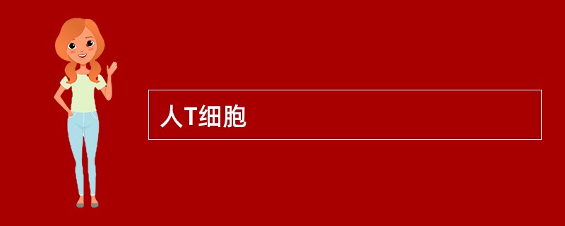 人T细胞