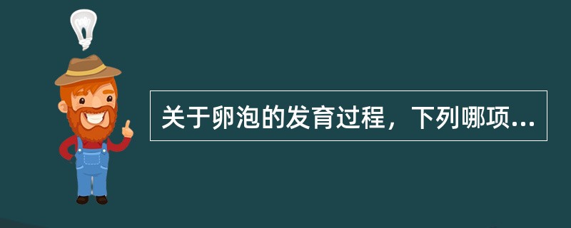 关于卵泡的发育过程，下列哪项错误