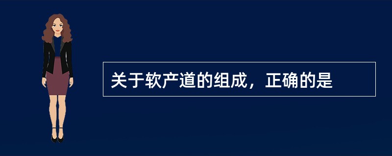 关于软产道的组成，正确的是