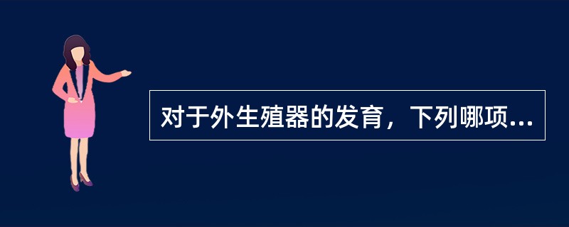 对于外生殖器的发育，下列哪项恰当