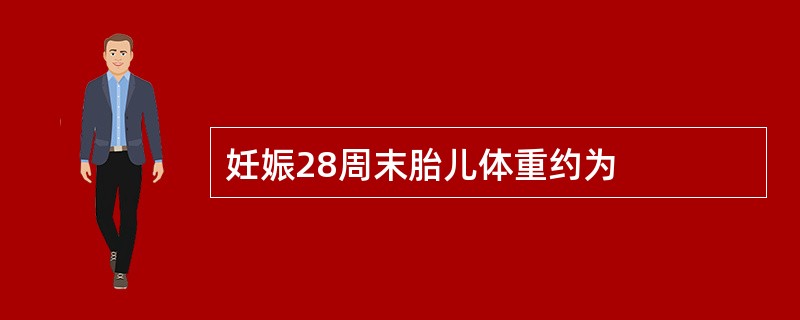妊娠28周末胎儿体重约为
