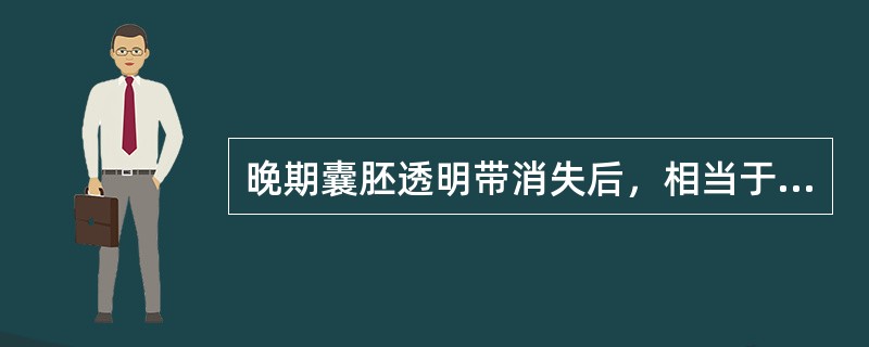 晚期囊胚透明带消失后，相当于受精后第几日开始着床