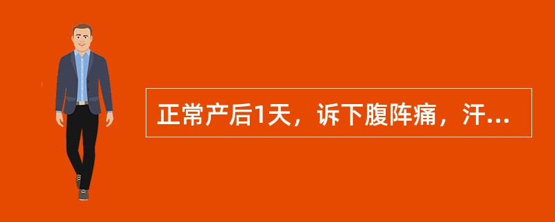 正常产后1天，诉下腹阵痛，汗多，低热。检查：体温37.5℃，宫底平脐，无压痛；会阴切口无红肿，恶露鲜红，量多，腥味，双乳胀满。该产妇腹痛原因是