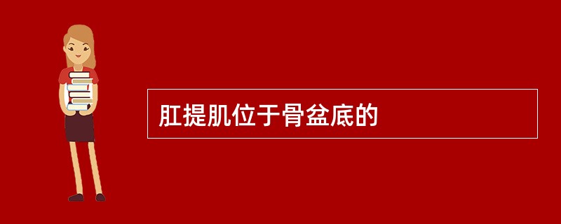 肛提肌位于骨盆底的
