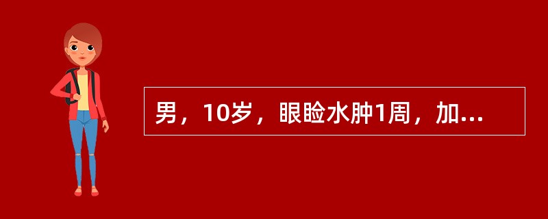 男，10岁，眼睑水肿1周，加重4天伴少尿，近1天头晕、眼花、呕吐2次，2小时前抽搐1次。体检：颜面、眼睑及下肢均水肿，BP16.5／mm120Hg。尿常规：尿蛋白（++），RBC15～20／HP，BU