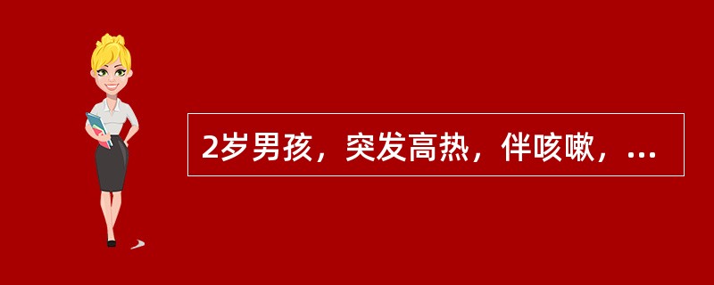 2岁男孩，突发高热，伴咳嗽，经抗生素治疗3天无效，体温仍高，咳嗽加重伴气促及烦躁。查体：体温39℃，呼吸62次／分，心率172次／分，X线胸片有圆形密度增深阴影伴气胸。最可能的诊断是