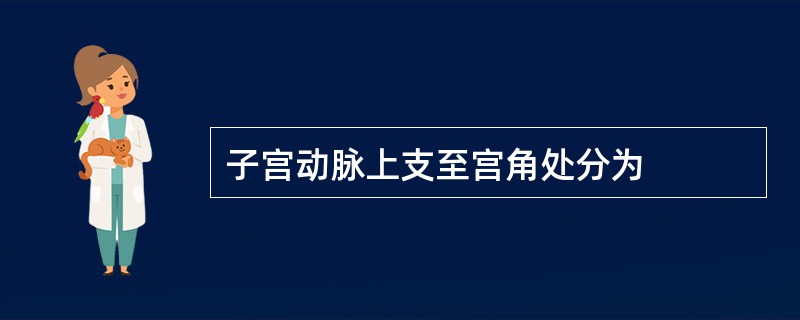 子宫动脉上支至宫角处分为